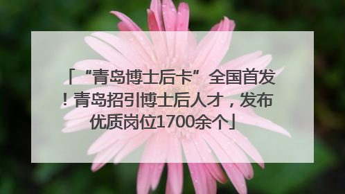 “青岛博士后卡”全国首发！青岛招引博士后人才，发布优质岗位1700余个